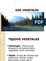 Cap 11 - Tejidos Vegetales