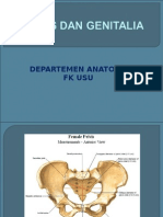 k - 19,20 Pelvis Dan Genitalia