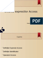 Crearea Expresiilor Access