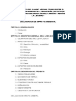 Declaracion de Impacto Ambiental Terminado