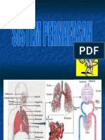 Sistem Pernafasan Rev