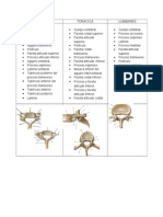 Cervical Es