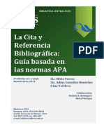 Citas Bibliograficas APA