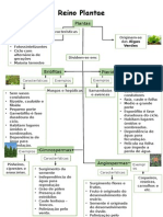 Esquema Plantas