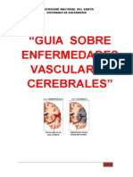 "Guia Sobre Enfermedades Vasculares Cerebrales": Universidad Nacional Del Santa