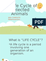 Life Cycle of Selected Animals