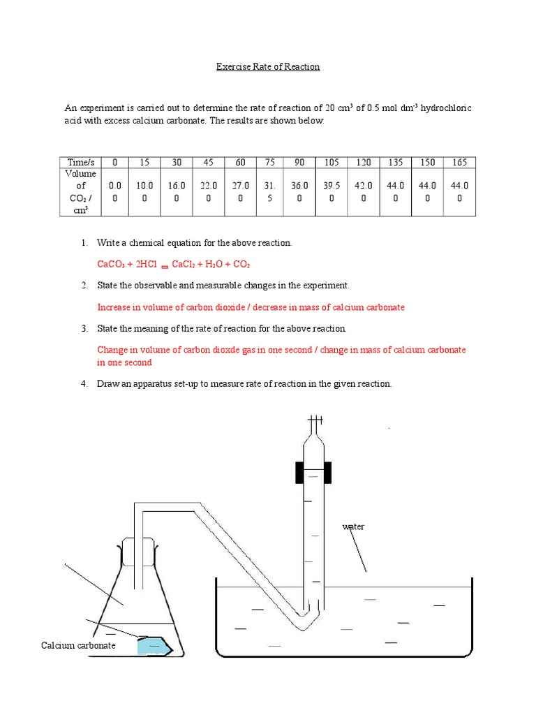 Exercise Rate of Reaction