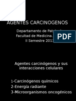 Agentes carcinogenos, manifestaciones clinicas, defensas, diagnostico. (1).ppt