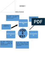 Act 1 Microfinanzas