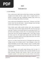 Download asuhan Keperawatan pada klien dengan cidera medula spinalis by Zaenudin SN29163472 doc pdf