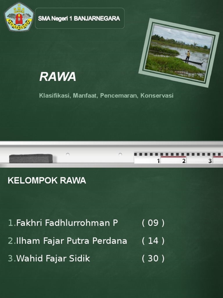 Geografi Rawa | PDF | Griya & Taman