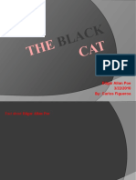 The Black Cat