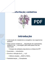 7_fosforilacao.oxidativa