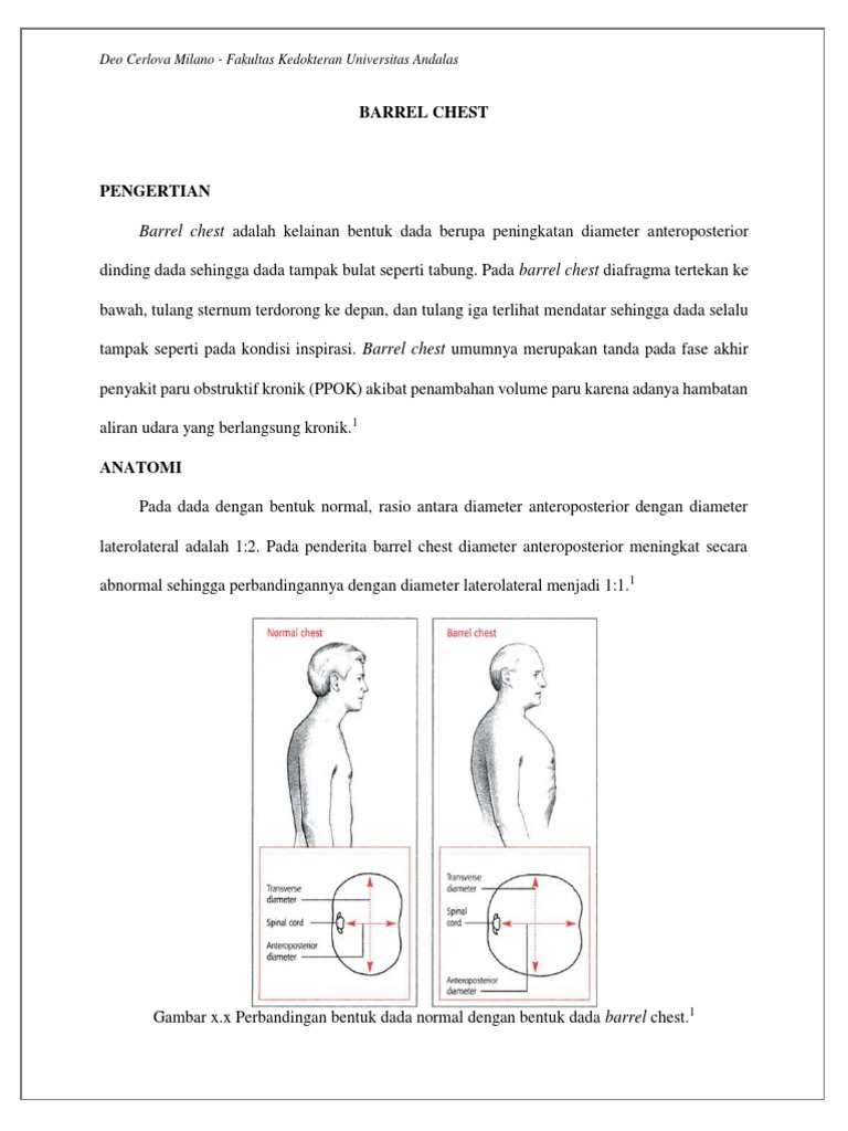 Radiologi Barrel Chest | PDF | Kajian Bahasa Asing
