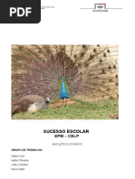 Sucesso EPM-CELP 14.15 Versão Final