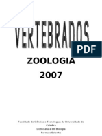 Vertebra Dos