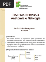 Sistema Nervoso Anatomia Fisiologia