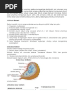 Download Makalah Biologi Tentang Bakteri by RizaAnanda SN291685255 doc pdf