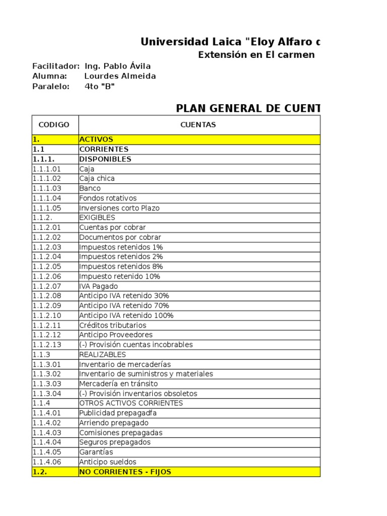 Plan de Cuenta general y ejemplo de estados financieros Amortización