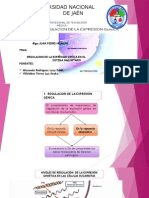 Regulacion de La Expresion Genica