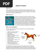 Equine Tetanus 202C