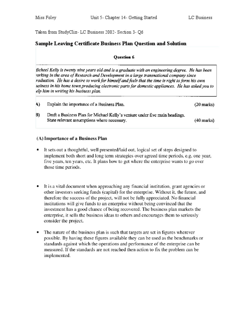 LC Business Plan Sample Solution | PDF