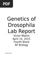 Download AP Biology Genetics of Drosophila Lab Report by Victor Martin SN291699120 doc pdf