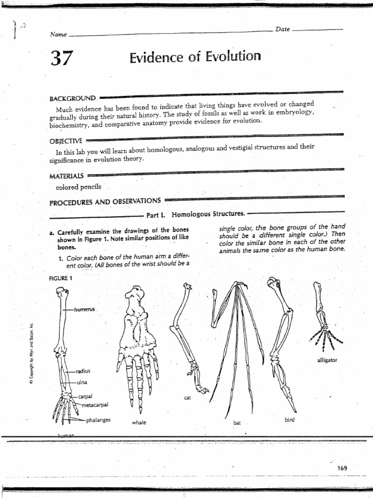 Evidence of Evolution Activity | PDF