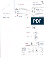 Embryology Hand Written Notes