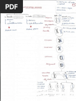 Physiology - 2 JOHARI MBBS-rotated | PDF