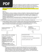 Resumo Direito Administrativo - Conceitos Básicos