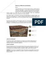 shale oil y el shale gas.docx