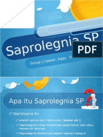 Dasmik SaprolegniaSP