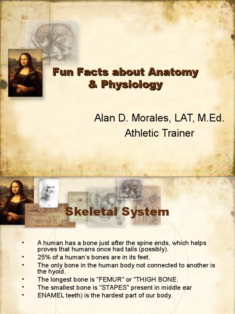 Fun Facts About Anatomy and Physiology 2 PDF Endocrine System