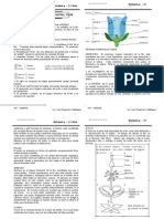 Ficha de Botanica 1º