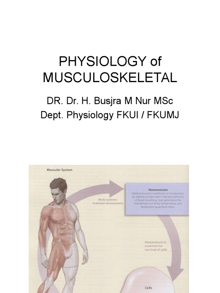 Physiology of Musculoskeletal: Dr. Dr. H. Busjra M Nur MSC Dept ...