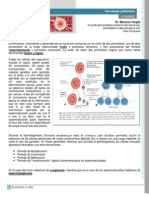 Clase 003 Obstetricia - Gemetogénesis