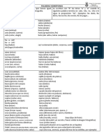 Palabras Homc3b3fonas para Estudiar2