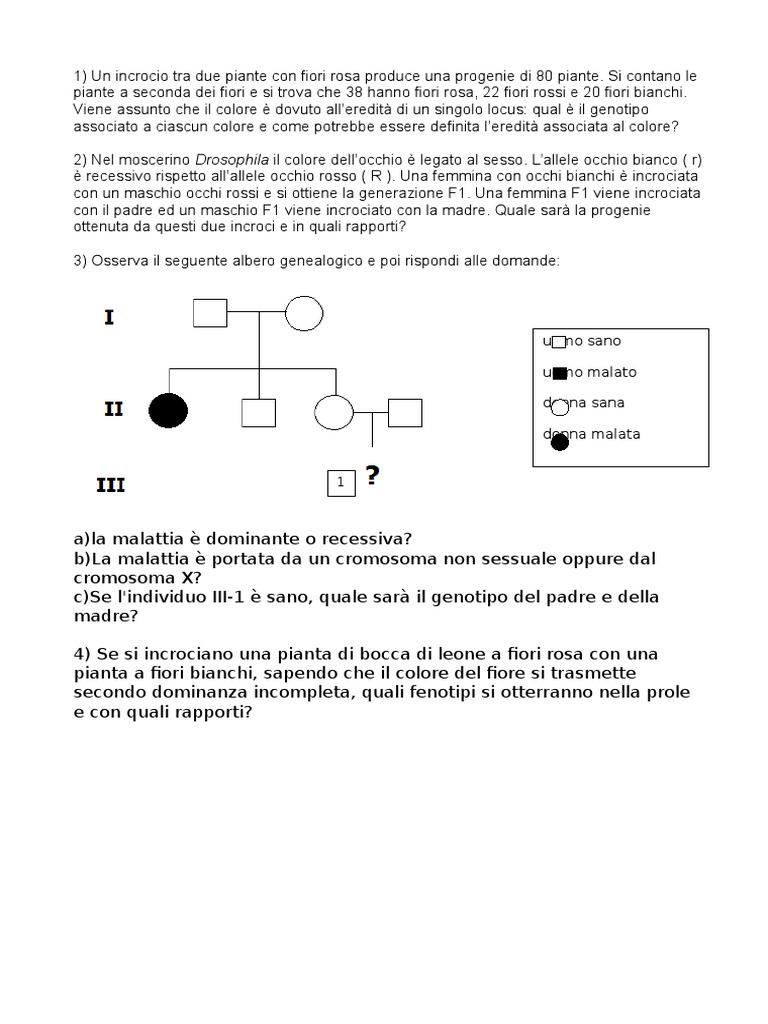 Esercizi Genetica Con Soluzioni Terza Media