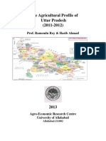2013 State Agriculture Profile For Uttar Pradesh
