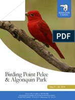 Birding Point Pelee & Algonquin Park 2016