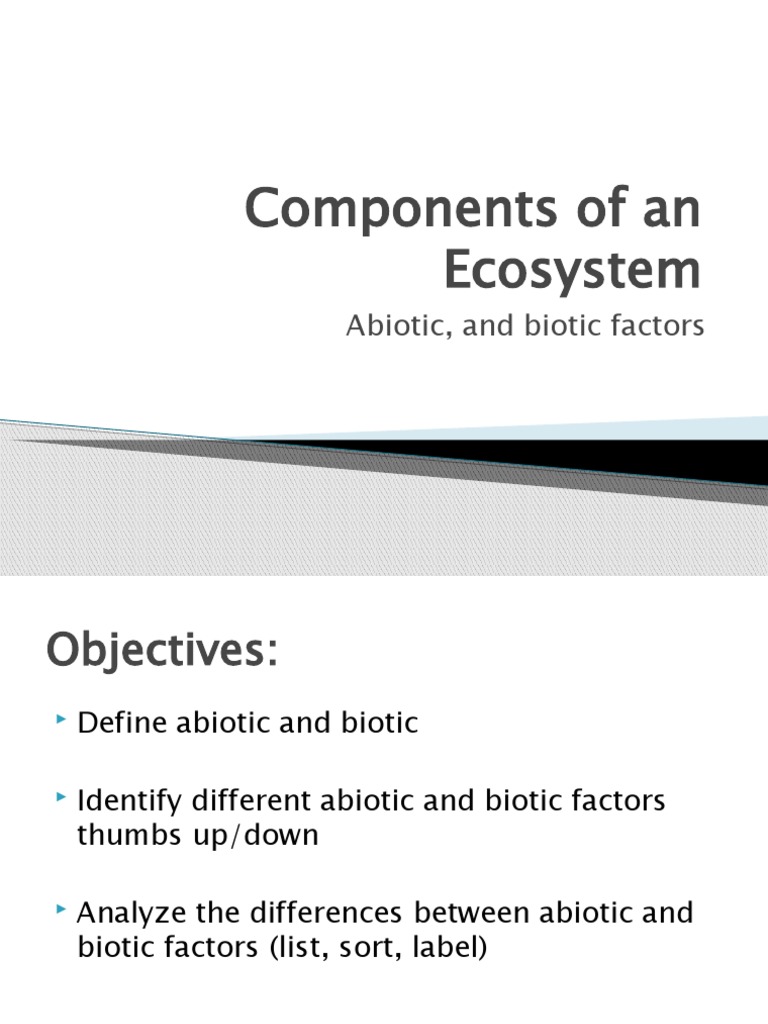Understanding Ecosystem Components | PDF