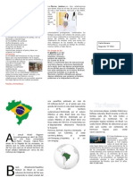 Brasil Triptico