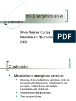 Metabolismo Energético en El Cerebro