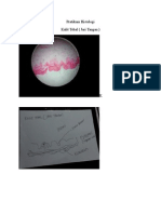 Pratikum Histologi