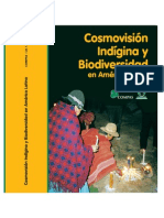 cosmovision.pdf