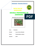 Manual Tecnico para El Cultivo de Fresa