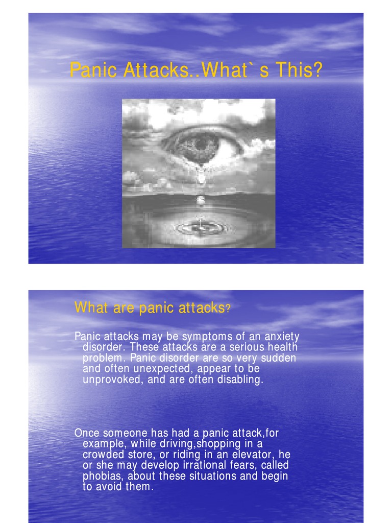 Understanding Panic Attacks and Agoraphobia | PDF | Panic Attack ...