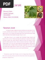 Download Minyak Jarak by Lestari Cahyati SN291876330 doc pdf