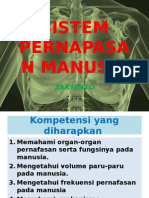 Sistem Pernapasan Manusia 4